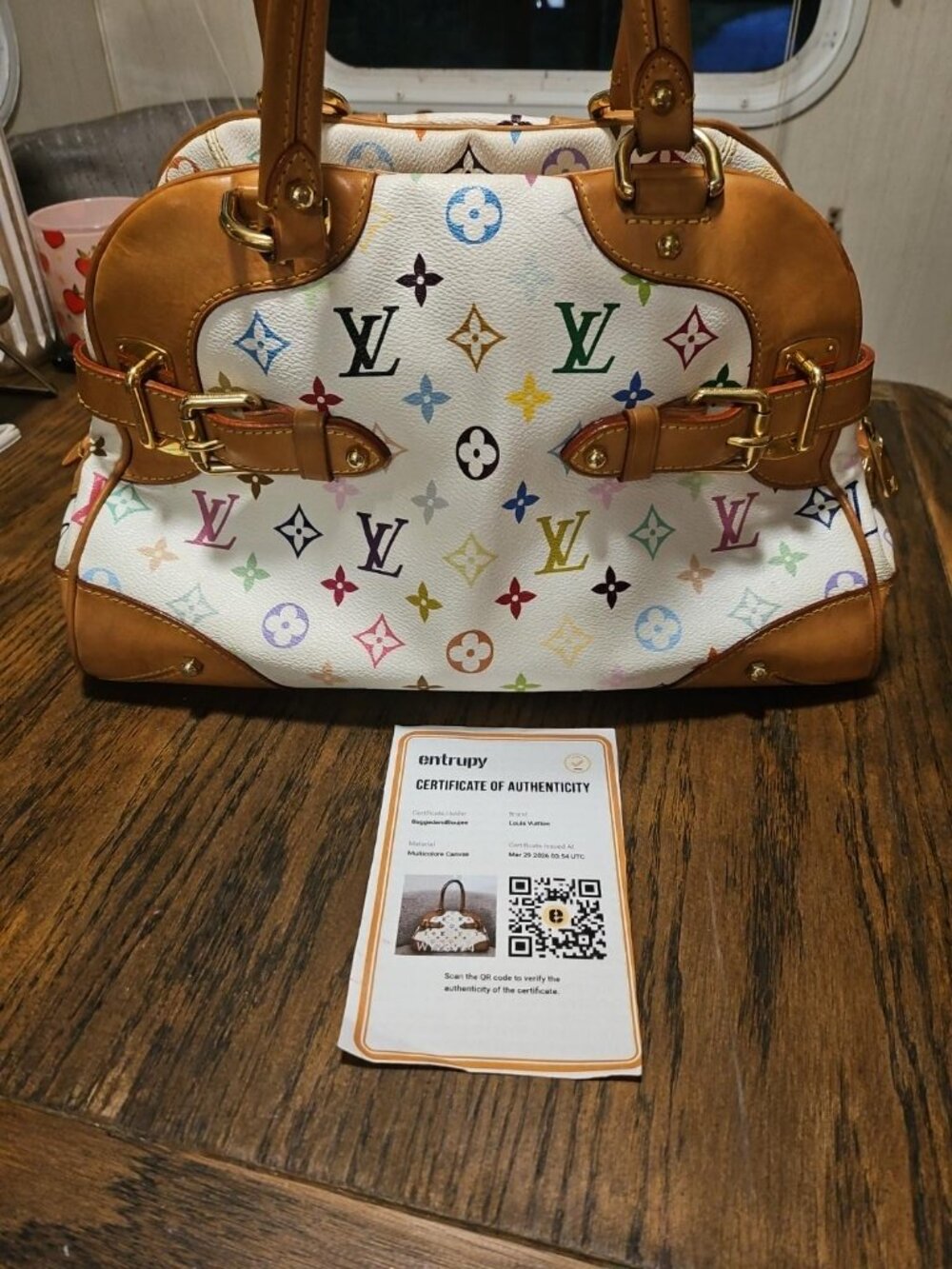 Louis Vuitton Multicolored Canva Leather Bag
